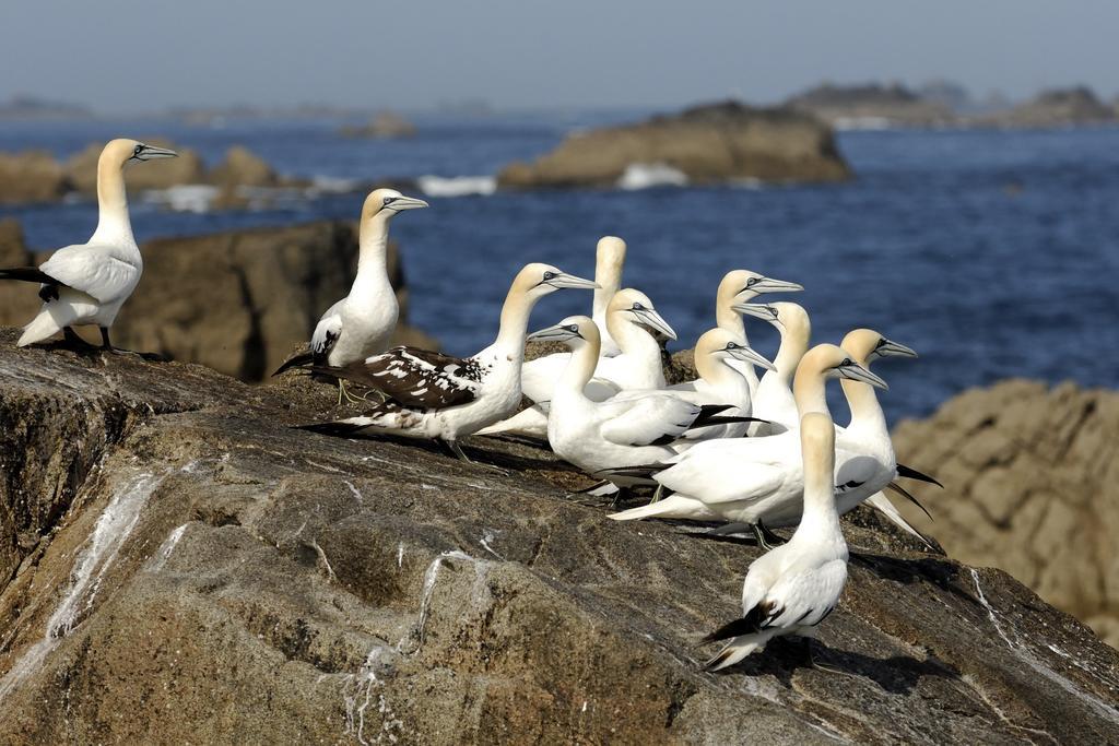 Hotel Logis Ker Mor Perros-Guirec